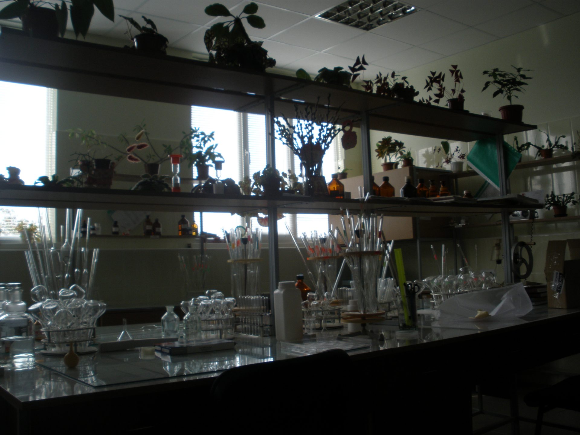 Лабораторія