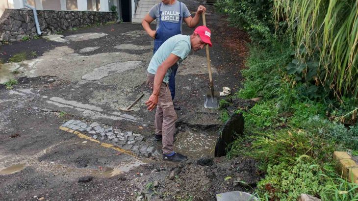 изображение_viber_2021-08-16_10-03-44-232