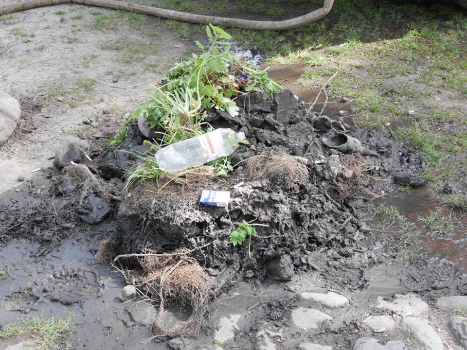 Альпинарий04